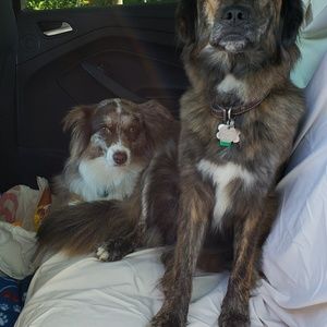 Meet your Posher, Pam